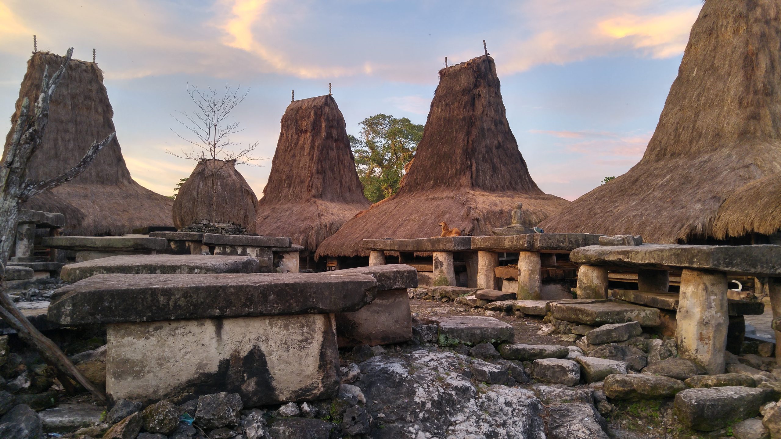 7 Tempat Rekomendasi Wisata di Sumba: Keindahan Alam dan Budaya yang Menakjubkan 7 Tempat Rekomendasi Wisata di Sumba: Keindahan Alam dan Budaya yang Menakjubkan
