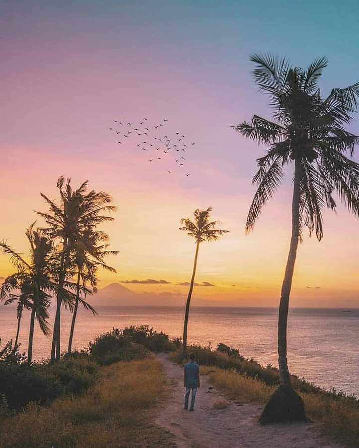 Melihat Keindahan Lombok dari Ketinggian: Bukit yang Menawarkan Pemandangan Spektakuler Melihat Keindahan Lombok dari Ketinggian: Bukit yang Menawarkan Pemandangan Spektakuler