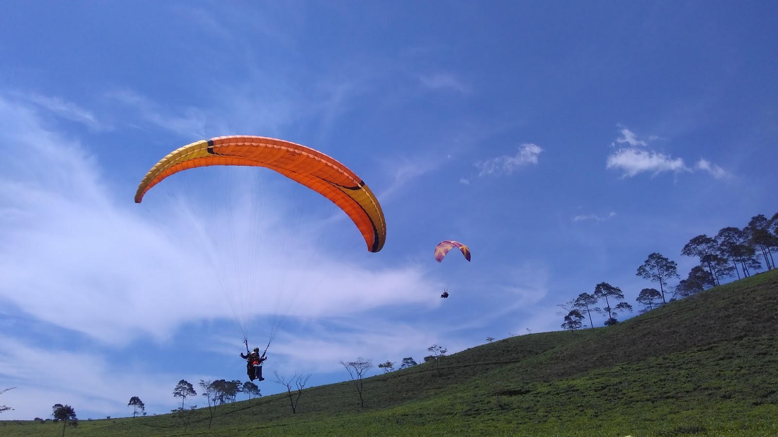 Melintasi Langit Sambil Menikmati Keindahan Alam: Sensasi Unik Paralayang dengan Latar Pemandangan Hijau Melintasi Langit Sambil Menikmati Keindahan Alam: Sensasi Unik Paralayang dengan Latar Pemandangan Hijau