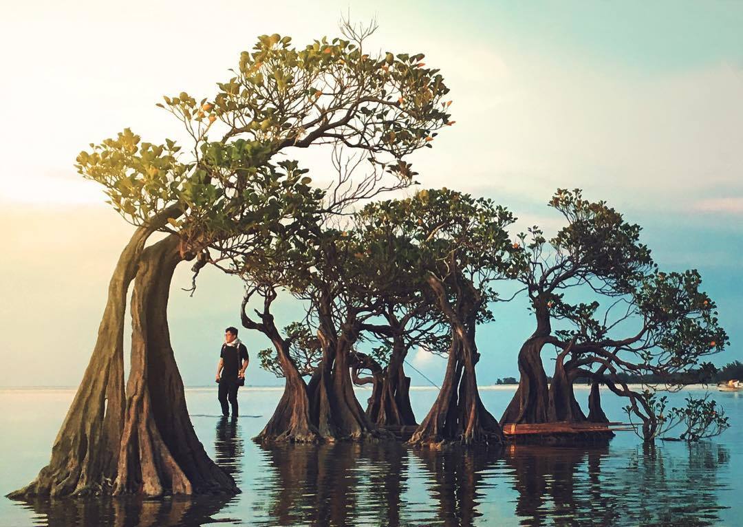 Pesona Pantai di Sumba: Menikmati Keindahan Pasir Putih dan Birunya Laut di Nusa Tenggara Timur Pesona Pantai di Sumba: Menikmati Keindahan Pasir Putih dan Birunya Laut di Nusa Tenggara Timur