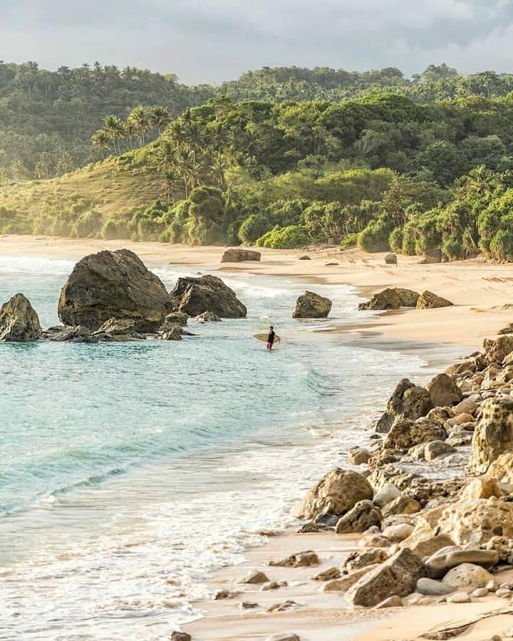 Pesona Pantai di Sumba: Menikmati Keindahan Pasir Putih dan Birunya Laut di Nusa Tenggara Timur Pesona Pantai di Sumba: Menikmati Keindahan Pasir Putih dan Birunya Laut di Nusa Tenggara Timur